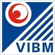 VIBM